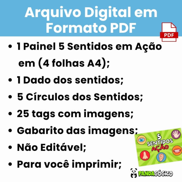 Arquivo 5 Sentidos em Ação - Imagem 4